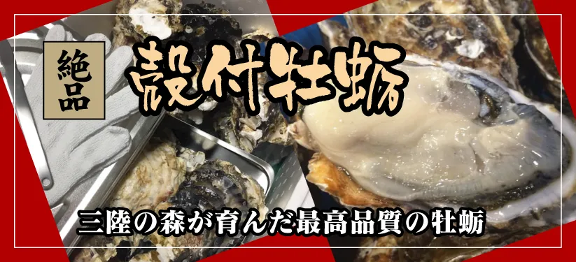 ���ղ���